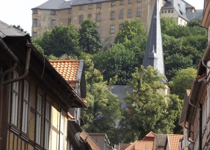 Harzhaus Gartenblick