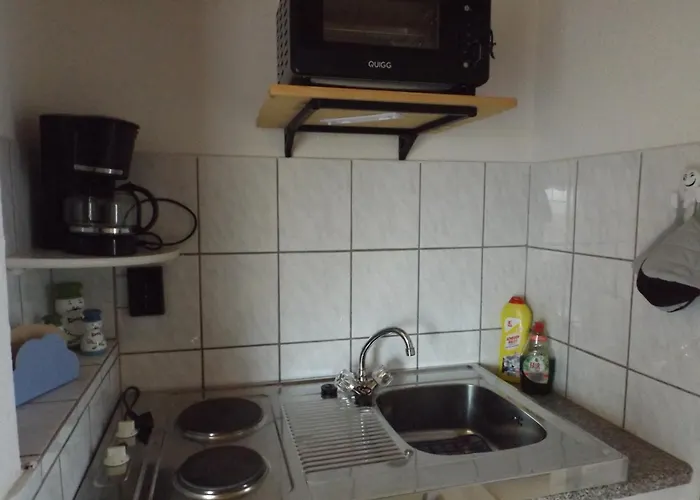 Harzhaus Gartenblick